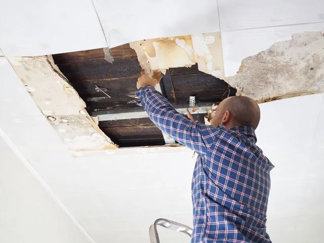 Property Insurance Claim Adjuster in Houston, TX