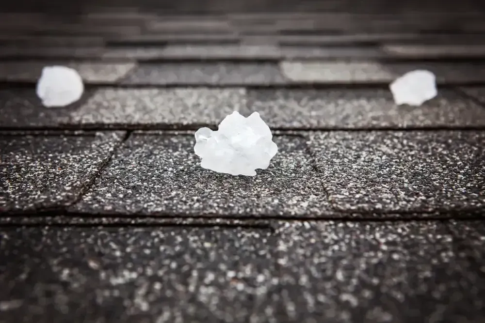 damage roof insurance