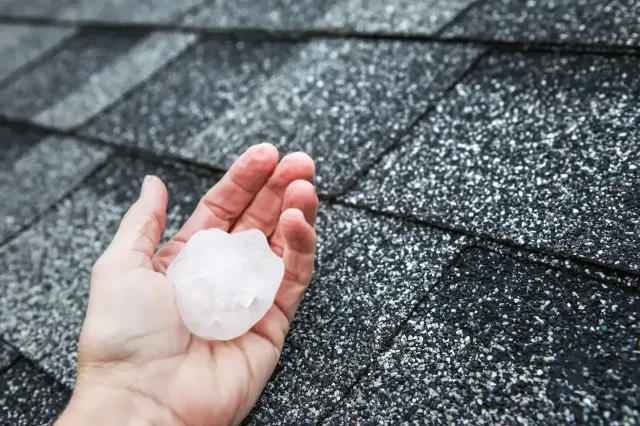damage roof insurance